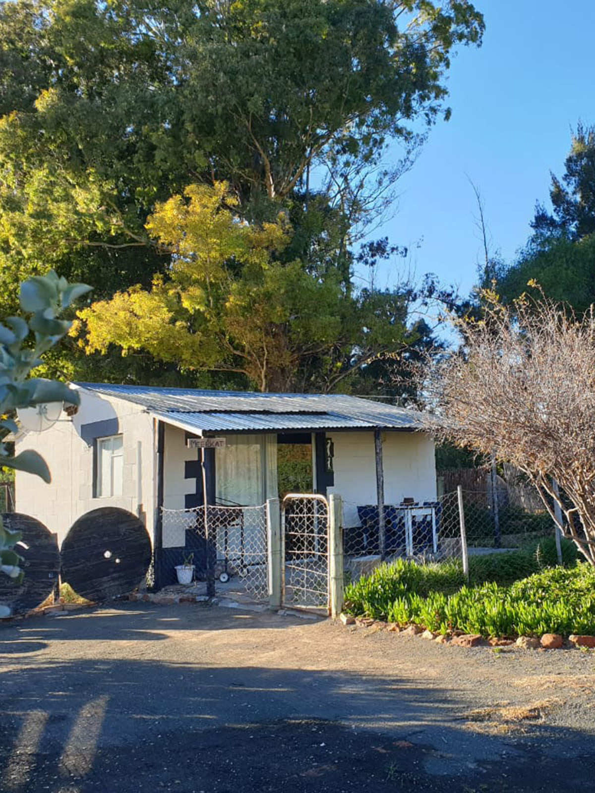 04 Meerkat Home Page11080